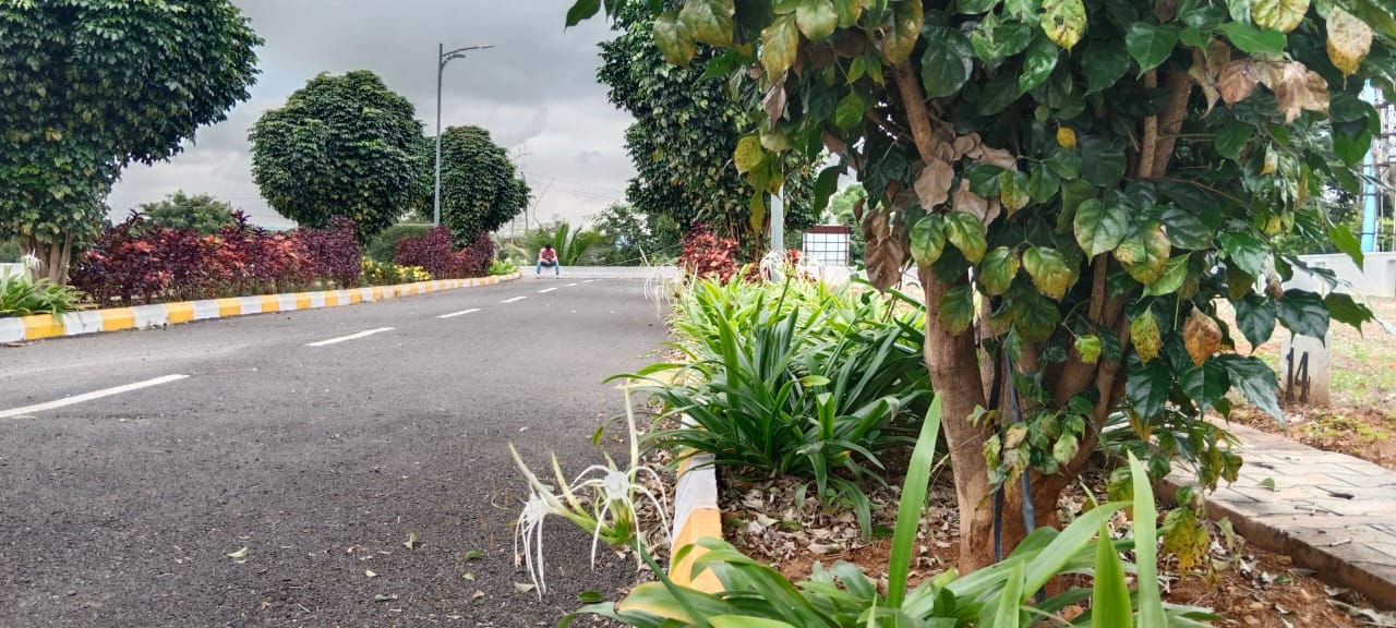 Road